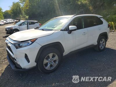 2019 TOYOTA RAV4 XLE JTMP1RFV8KD021306 - główne zdjęcie licytacji z USA - miniatura