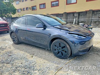 Czwarte zdjęcie samochodu z boku: 2025 TESLA MODEL Y VIN:7SAYGDEE0SA351005 - miniatura