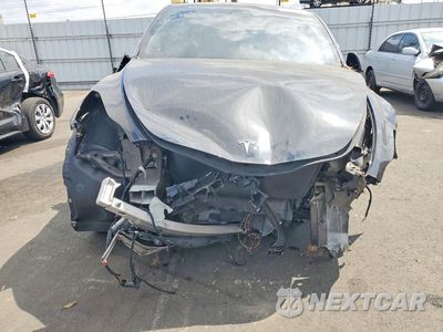 Piąte zdjęcie samochodu w środku: 2025 TESLA MODEL Y VIN:7SAYGDED7SF219854 - miniatura