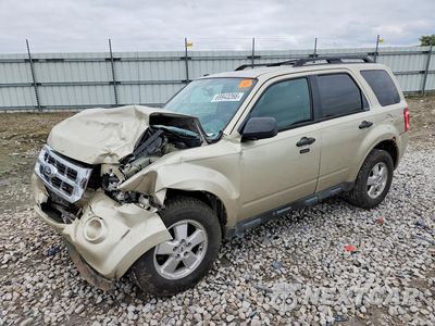 2011 FORD ESCAPE XLT 1FMCU0D72BKB03187 - główne zdjęcie licytacji z USA - miniatura