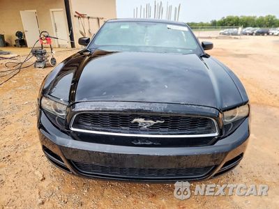 Piąte zdjęcie samochodu w środku: 2013 FORD MUSTANG VIN:1ZVBP8AMXD5258150 - miniatura
