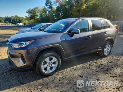 2021 TOYOTA RAV4 XLE 4T3RWRFVXMU049852 - główne zdjęcie licytacji z USA - miniatura