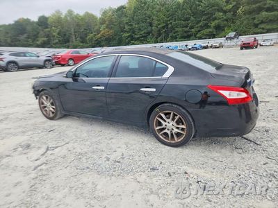 Drugie zdjęcie samochodu z przodu: 2010 NISSAN MAXIMA 3.5 S VIN:1N4AA5AP5AC840193 - miniatura