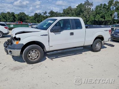 2013 FORD F150 SUPER CAB 1FTFX1EF4DKE05958 - główne zdjęcie licytacji z USA - miniatura