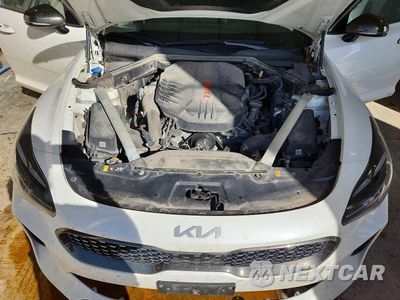 Zdjęcie 11 z 12 samochodu: 2022 KIA STINGER GT1 VIN:KNAE45LC9N6115744 - miniatura