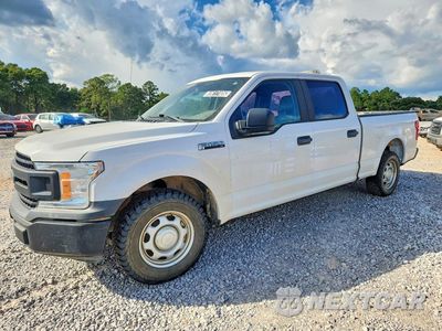 2020 FORD F150 SUPERCREW 1FTEW1CP7LKE08636 - główne zdjęcie licytacji z USA - miniatura