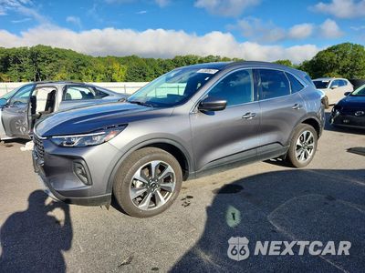 2025 FORD ESCAPE PLATINUM 1FMCU9JA5SUB30506 - główne zdjęcie licytacji z USA - miniatura