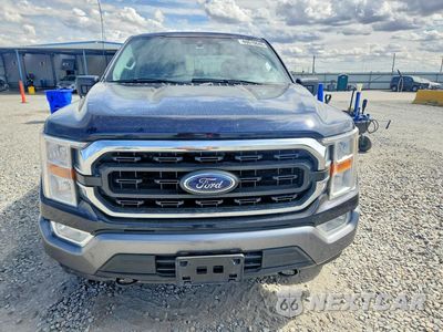 Piąte zdjęcie samochodu w środku: 2021 FORD F150 SUPERCREW VIN:1FTFW1E51MFA26919 - miniatura