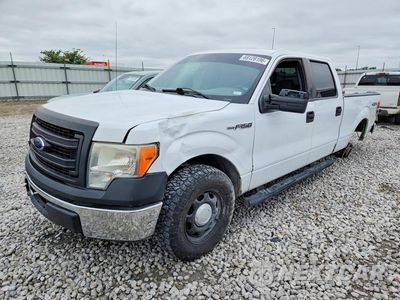 2013 FORD F150 1FTFW1EF1DFB61536 - główne zdjęcie licytacji z USA - miniatura