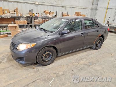 2010 TOYOTA COROLLA LE 1NXBU4EE1AZ375829 - główne zdjęcie licytacji z USA - miniatura