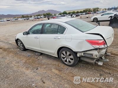 Drugie zdjęcie samochodu z przodu: 2010 HONDA ACCORD EXL VIN:1HGCP3F8XAA023130 - miniatura