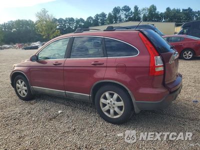 Drugie zdjęcie samochodu z przodu: 2009 HONDA CR-V EXL VIN:5J6RE387X9L015980 - miniatura