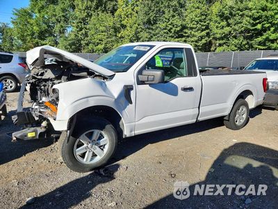 2021 FORD F150 1FTMF1CBXMKE63065 - główne zdjęcie licytacji z USA - miniatura