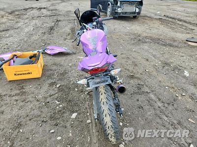 Czwarte zdjęcie samochodu z boku: 2023 KAWASAKI EX400 VIN:JKAEXKG11PDAS1855 - miniatura