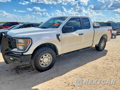 2023 FORD F150 SUPER CAB 1FTFX1E56PKD37030 - główne zdjęcie licytacji z USA - miniatura