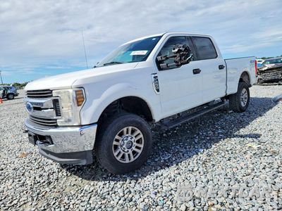 2019 FORD F250 SUPER DUTY 1FT7W2B6XKEG47568 - główne zdjęcie licytacji z USA - miniatura