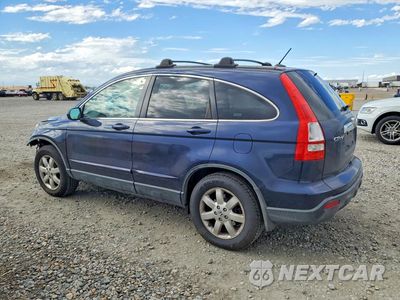 Drugie zdjęcie samochodu z przodu: 2008 HONDA CR-V EXL VIN:JHLRE48728C065561 - miniatura