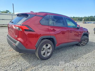 Trzecie zdjęcie samochodu z tyłu: 2025 TOYOTA RAV4 XLE VIN:2T3P1RFVXSW578575 - miniatura