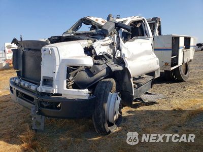 2019 FORD F650 SUPER - GRAPPLE TRUCK 1FDNF6AYXKDF03621 - główne zdjęcie licytacji z USA - miniatura