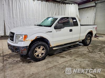2013 FORD F150 SUPER CAB 1FTFX1EF3DKF63126 - główne zdjęcie licytacji z USA - miniatura