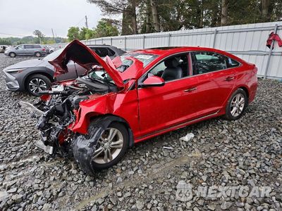 2019 HYUNDAI SONATA SPORT 5NPE34AF5KH800578 - główne zdjęcie licytacji z USA - miniatura