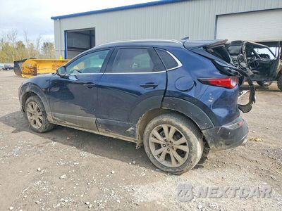 Drugie zdjęcie samochodu z przodu: 2021 MAZDA CX-30 PREMIUM VIN:3MVDMBDL1MM309418 - miniatura