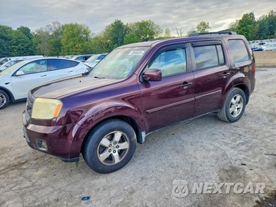 2009 HONDA PILOT EXL 5FNYF48539B007144 - główne zdjęcie licytacji z USA - miniatura
