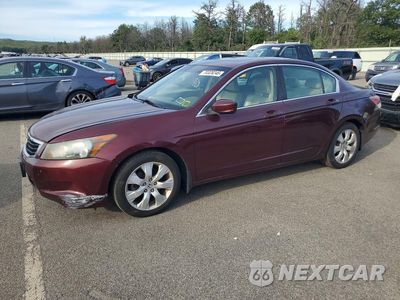 2009 HONDA ACCORD EXL 1HGCP268X9A132886 - główne zdjęcie licytacji z USA - miniatura