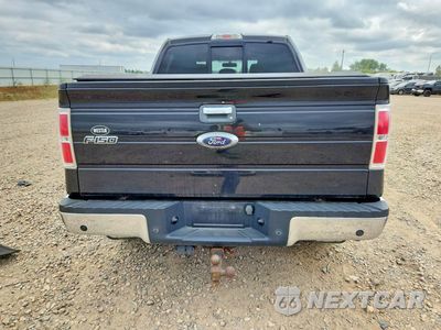 Zdjęcie 6 z 12 samochodu: 2013 FORD F150 SUPERCREW VIN:1FTFW1ET6DKD65214 - miniatura