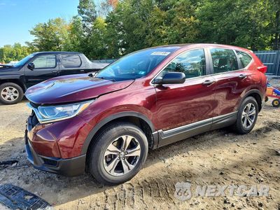 2017 HONDA CR-V LX 2HKRW6H33HH207505 - główne zdjęcie licytacji z USA - miniatura