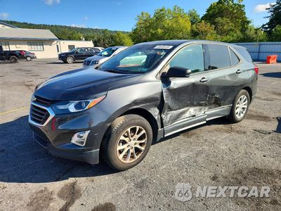 2019 CHEVROLET EQUINOX LS 3GNAXSEV3KS551428 - główne zdjęcie licytacji z USA - miniatura