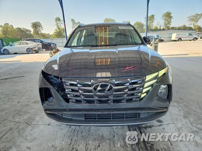 Piąte zdjęcie samochodu w środku: 2024 HYUNDAI TUCSON LIMITED VIN:5NMJECDE0RH339643 - miniatura