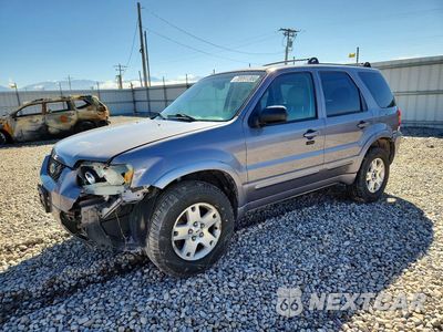 2007 FORD ESCAPE LIMITED 1FMCU941X7KA40461 - główne zdjęcie licytacji z USA - miniatura