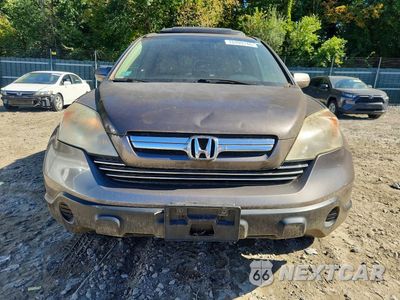 Piąte zdjęcie samochodu w środku: 2009 HONDA CR-V EXL VIN:5J6RE48719L011872 - miniatura