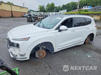 2023 HYUNDAI SANTA FE CALLIGRAPHY 5NMS5DAL5PH515029 - główne zdjęcie licytacji z USA - miniatura
