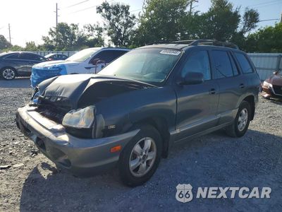 2005 HYUNDAI SANTA FE GLS KM8SC13D85U958660 - główne zdjęcie licytacji z USA - miniatura