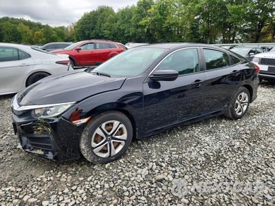 2016 HONDA CIVIC LX 19XFC2F52GE228020 - główne zdjęcie licytacji z USA - miniatura