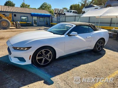 2024 FORD MUSTANG 1FAGP8UH7R5113037 - główne zdjęcie licytacji z USA - miniatura
