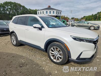 Czwarte zdjęcie samochodu z boku: 2024 HONDA CR-V EXL VIN:2HKRS4H72RH484585 - miniatura