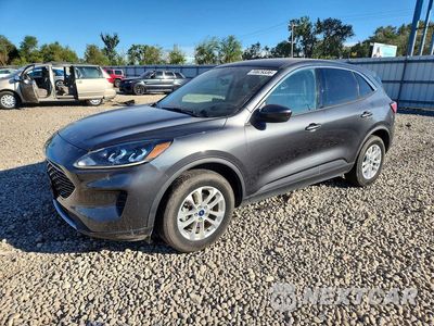 2020 FORD ESCAPE SE 1FMCU9G62LUA96061 - główne zdjęcie licytacji z USA - miniatura