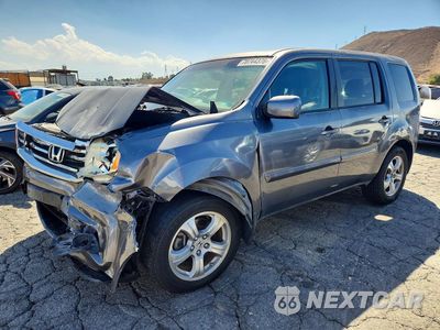 2014 HONDA PILOT EXL 5FNYF3H51EB028918 - główne zdjęcie licytacji z USA - miniatura