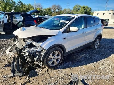 2016 FORD ESCAPE SE 1FMCU0G96GUB33088 - główne zdjęcie licytacji z USA - miniatura