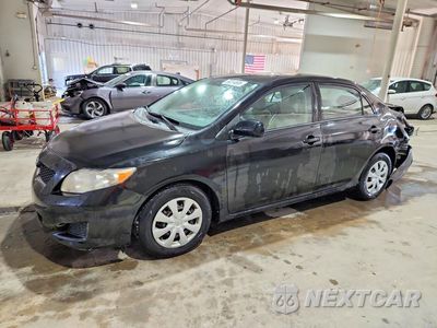 2010 TOYOTA COROLLA LE 2T1BU4EE7AC331609 - główne zdjęcie licytacji z USA - miniatura