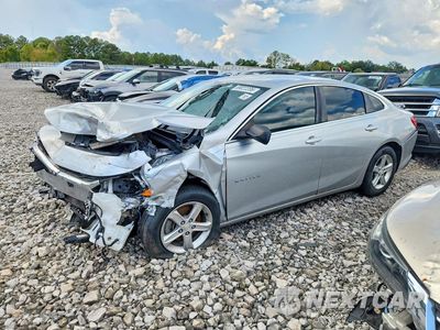 2019 CHEVROLET MALIBU 1G1ZB5ST3KF173834 - główne zdjęcie licytacji z USA - miniatura