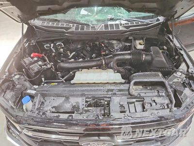Zdjęcie 11 z 12 samochodu: 2025 FORD F150 XLT VIN:1FTFW3L80SKE78227 - miniatura