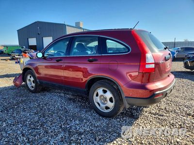 Drugie zdjęcie samochodu z przodu: 2009 HONDA CR-V LX VIN:3CZRE38349G700678 - miniatura