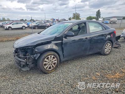 2013 KIA FORTE EX KNAFU4A25D5681509 - główne zdjęcie licytacji z USA - miniatura