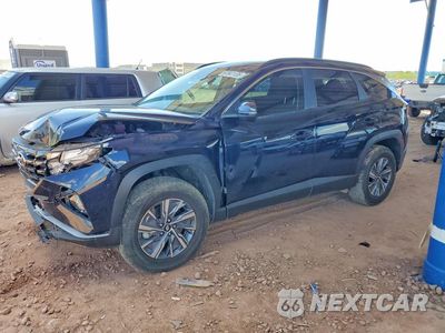 2023 HYUNDAI TUCSON BLUE KM8JBCA16PU100173 - główne zdjęcie licytacji z USA - miniatura