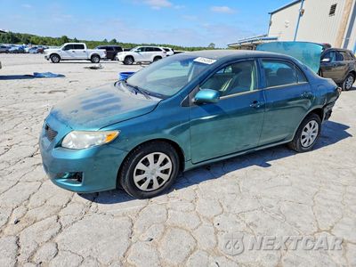 2009 TOYOTA COROLLA LE JTDBL40EX99072528 - główne zdjęcie licytacji z USA - miniatura