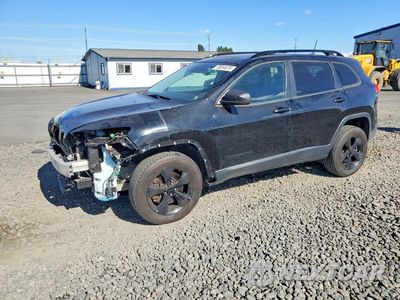 2017 JEEP CHEROKEE LIMITED 1C4PJMDS1HW624364 - główne zdjęcie licytacji z USA - miniatura